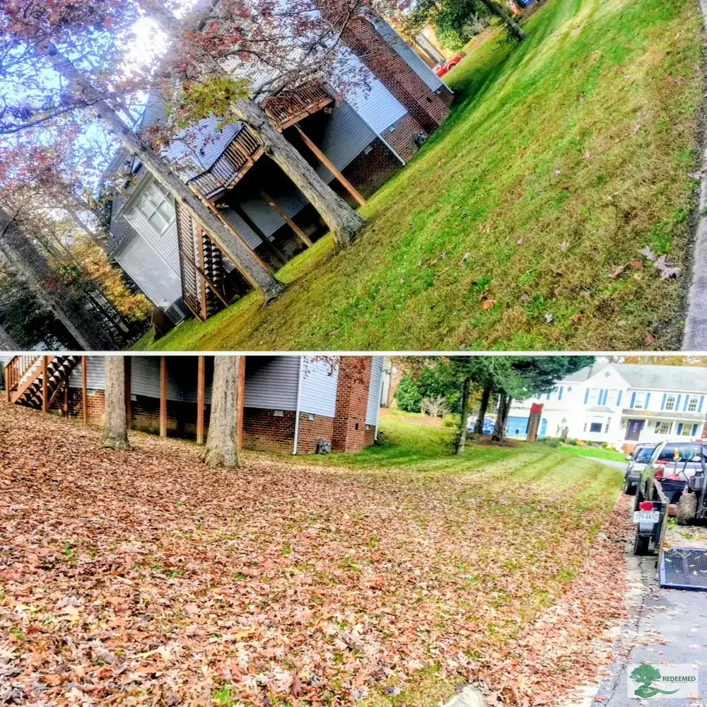 Garden Trimming & Shaping