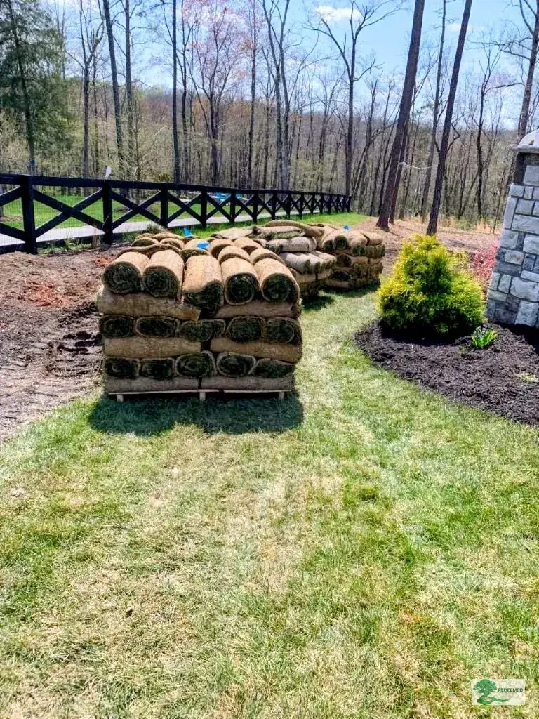 Shrub Planting and Landscaping