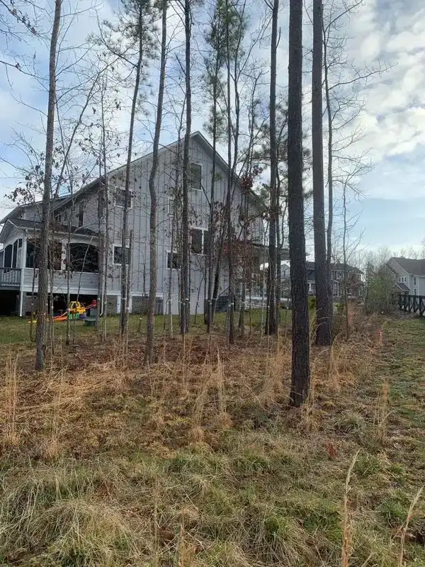 Landscape Before
